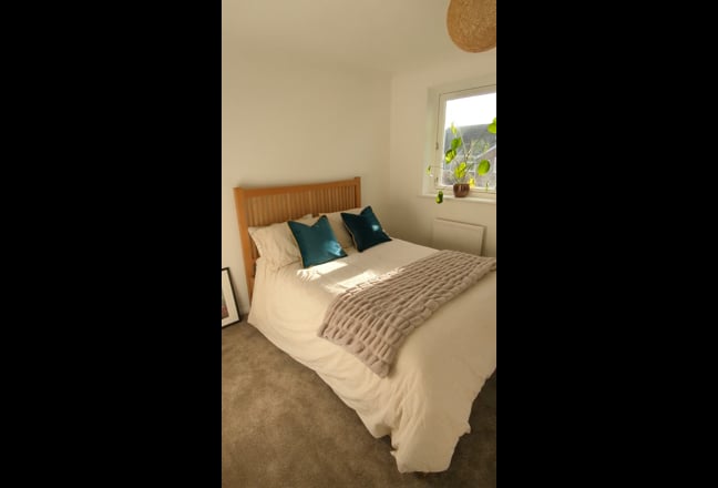 King Room New Reno – Bills incl + 4 month discount Main Photo