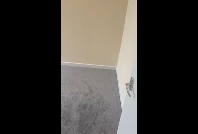 New flat for rent Main Photo