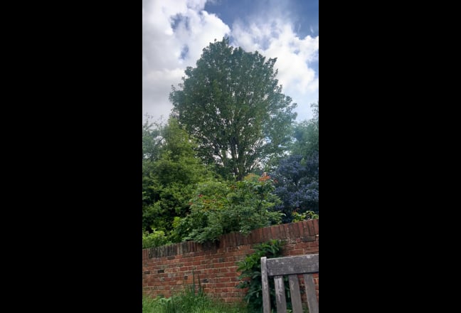 Sunny single room w/all bills included! Main Photo