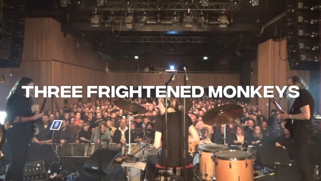 3 Frightened Monkeys