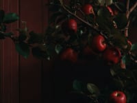 Video poster thumbnail