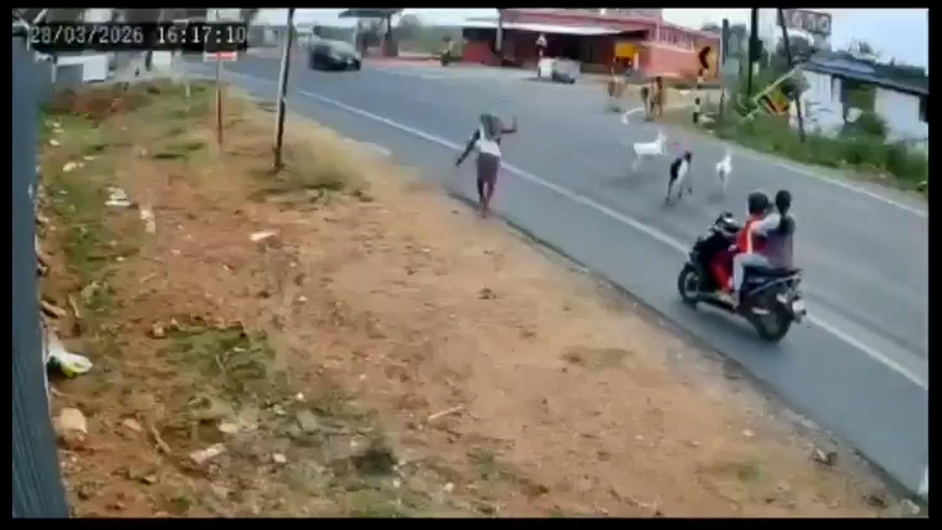 इस हादसे को देख कलेजा कांप जाएगा-

ये एक्सीडेंट तमिलनाडु में हुआ है, जहां जानवरों को सड़क पार करा रहे एक शख्स को बस कुचल देती है और युवक की मौके पर ही मौत हो जाती है