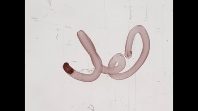 Still 1
