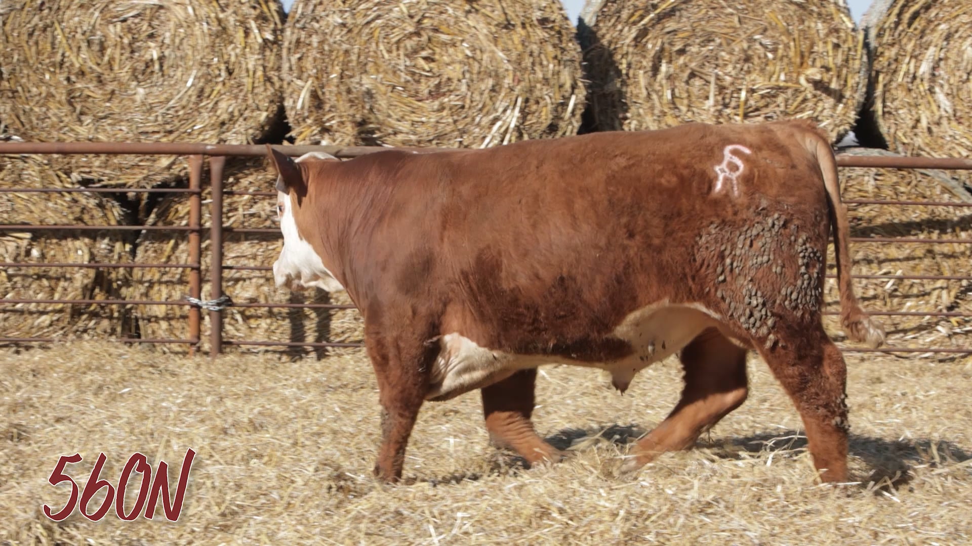 LOT 560  SRR MR 2054 VALOR 560N