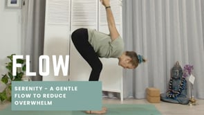 Related Embedded Video Item Thumbnail