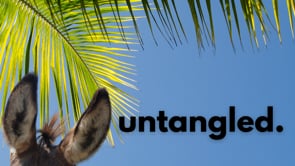 Untangled | Dr. JP Vick