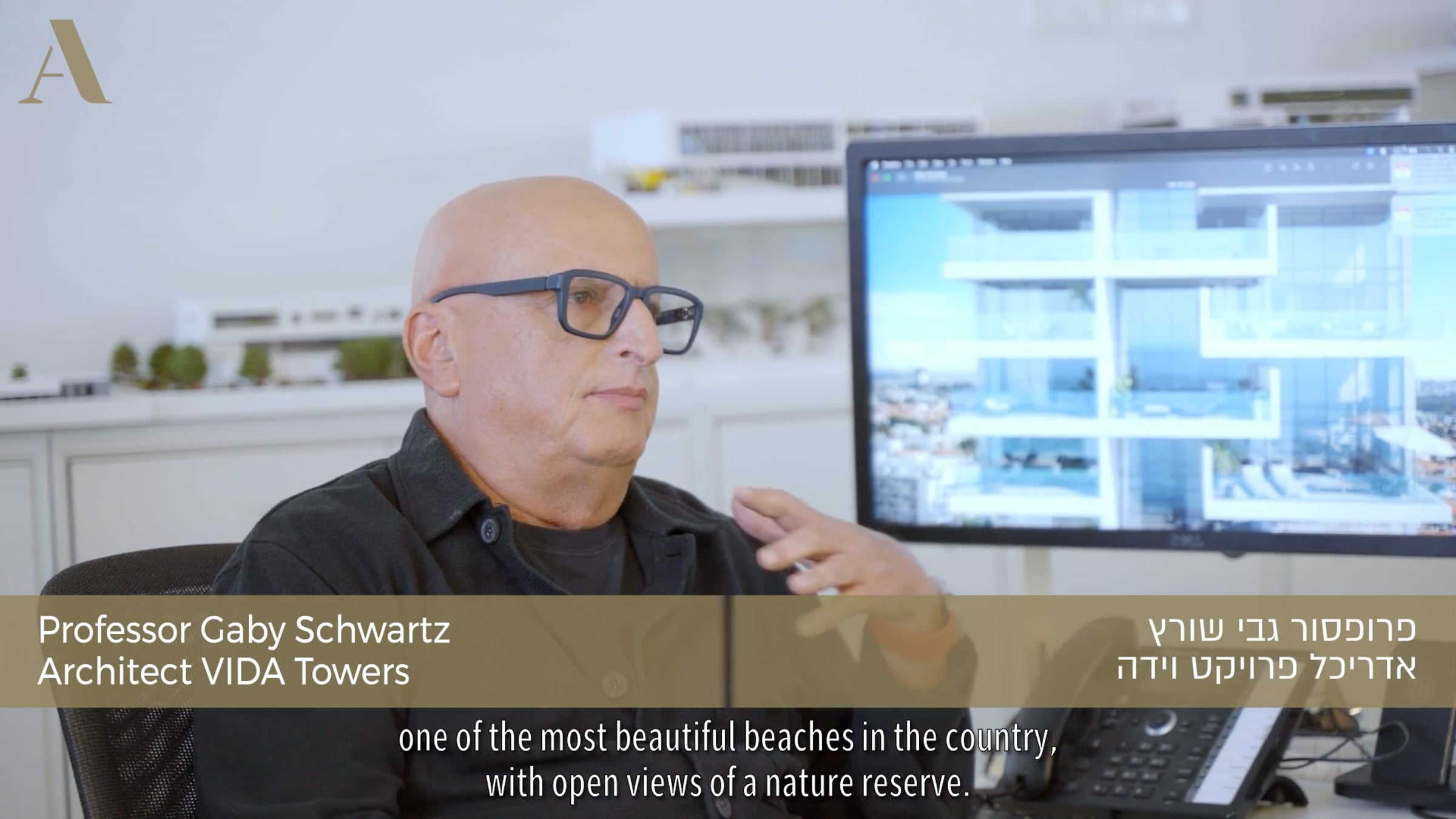 Asden Insights - VIDA - Professor Architect Gaby Schwartz | Videos ...