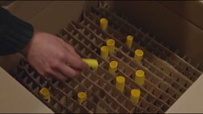 LA MÊME CHOSE MAIS PAS TOUT À FAIT PAREILLE - teaser