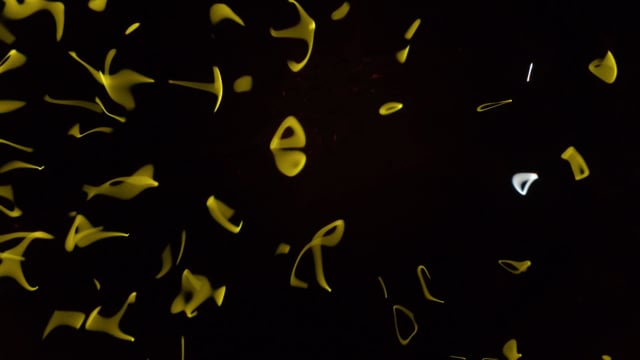 Still 1