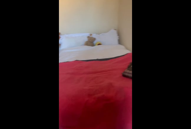 Looking for a friendly flatmate Haymarket  Main Photo