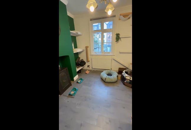 Clean home, good vibes, 23 minutes London Euston  Main Photo