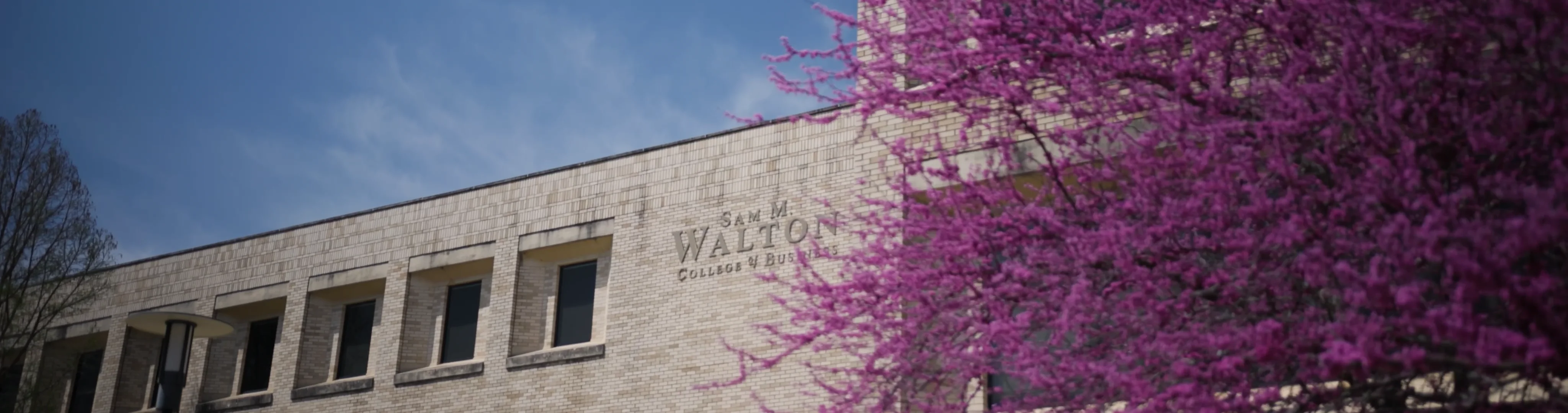 Dayz Hack Fundamentals Explained