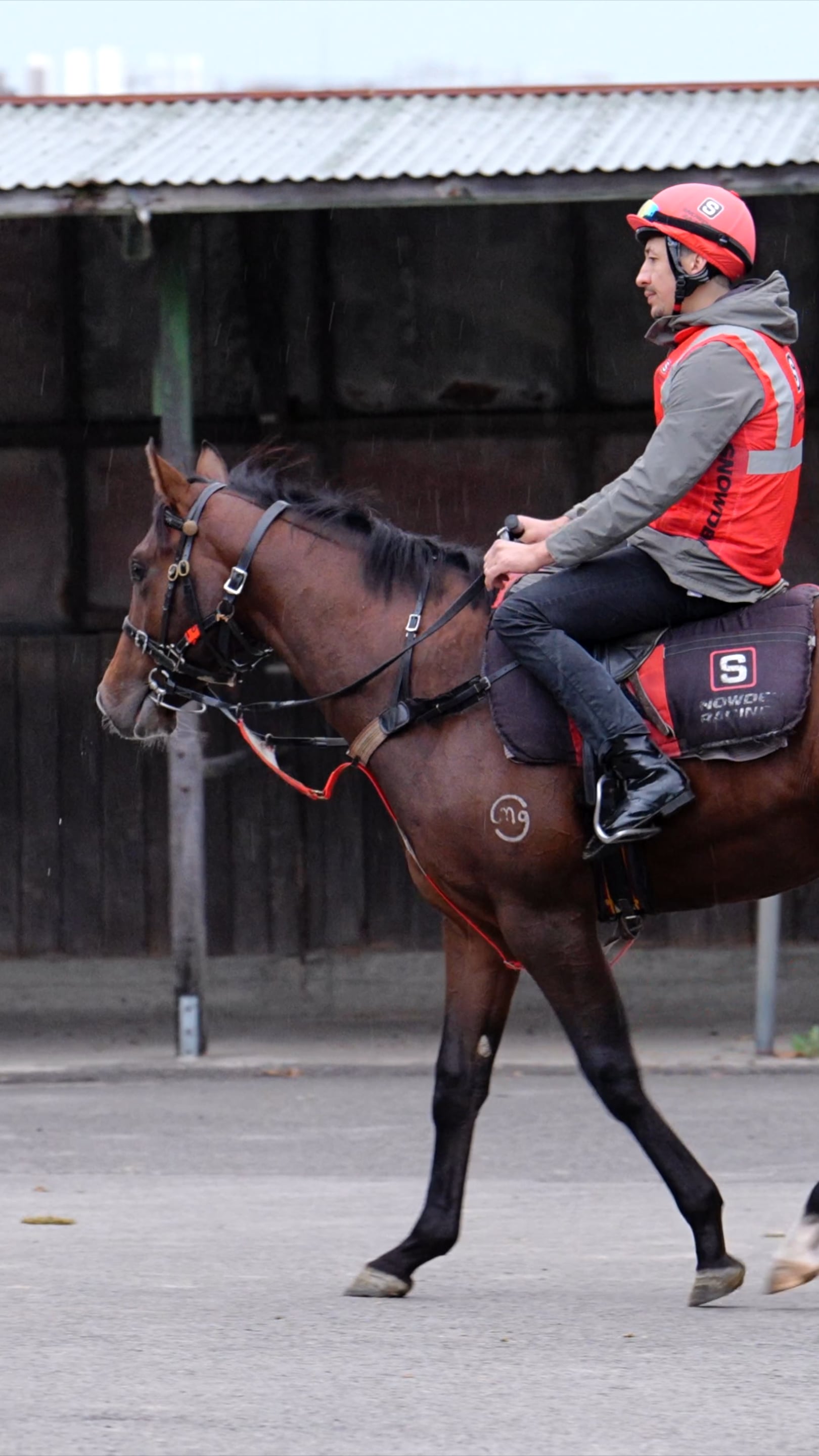 SNOWDEN RACING - 27th March - Zousain x Miss Loren - Vert | Videos ...