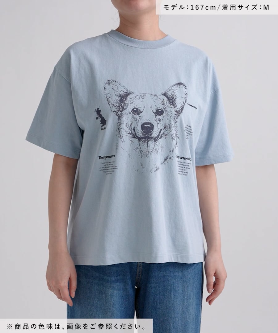 ドローイングBIGDOG Tシャツ | [公式]ニコアンド（niko and ）通販