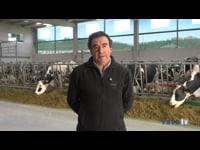 "Estamos facendo especial fincapé en minimizar riscos para manter o estado sanitario da explotación o máis óptimo posible"