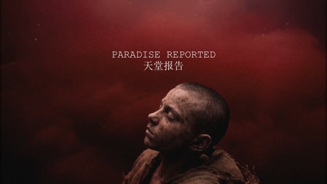 Paradise Reported