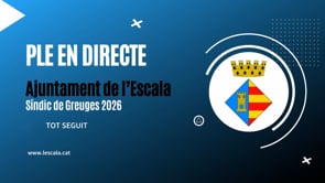Ple Municipal Síndic de Greuges 2026