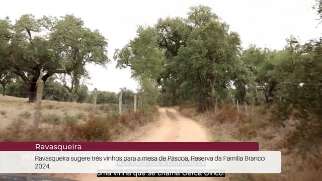 EP 81 | Not&iacute;cias do Enoturismo