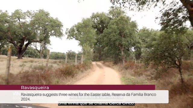 EP 81 | Wine Tourism News