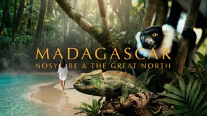 Traveler's & Filmmaker's