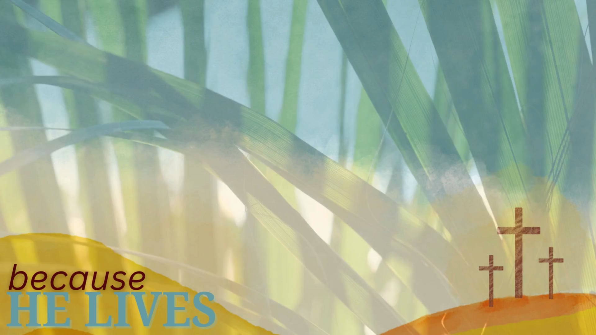 Jesus is Validated  Mark 8:27-36, 15:39  03.29.2026