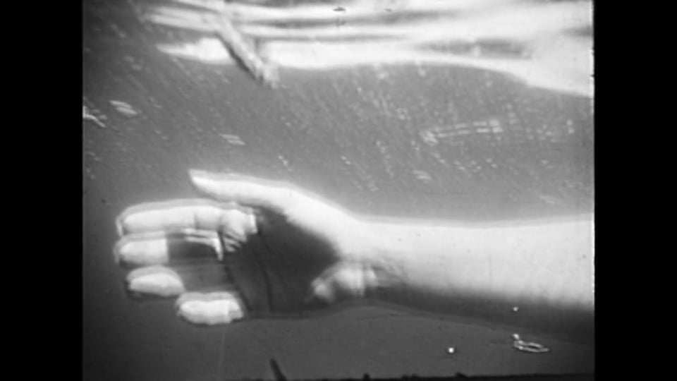 Shadow Puppet