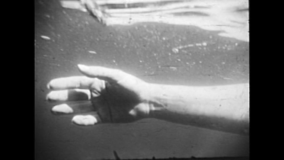 Shadow Puppet