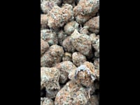 Green dream