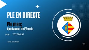 Ple municipal març 2026