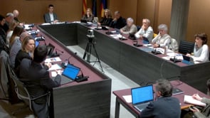 El Pla Local d'Ocupació acapara els precs i preguntes del ple de març