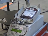 Segona donació de sang a l'Escala per Setmana Santa