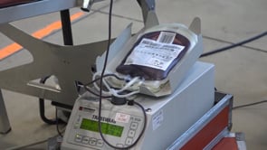 Segona donació de sang a l'Escala per Setmana Santa