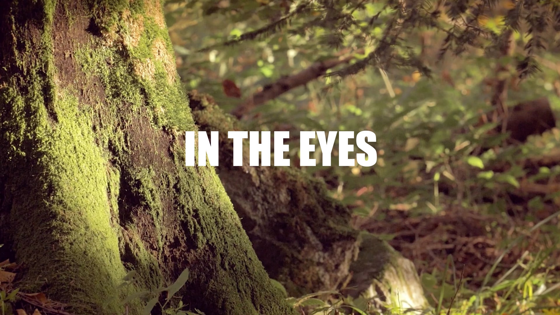 IN THE EYES (GH4 Film Look)