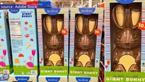 Costco's 10 Pound Chocolate Bunny