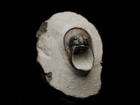 Trilobite AWTRIL447 video 1