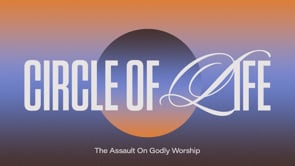 Related Embedded Video Item Thumbnail