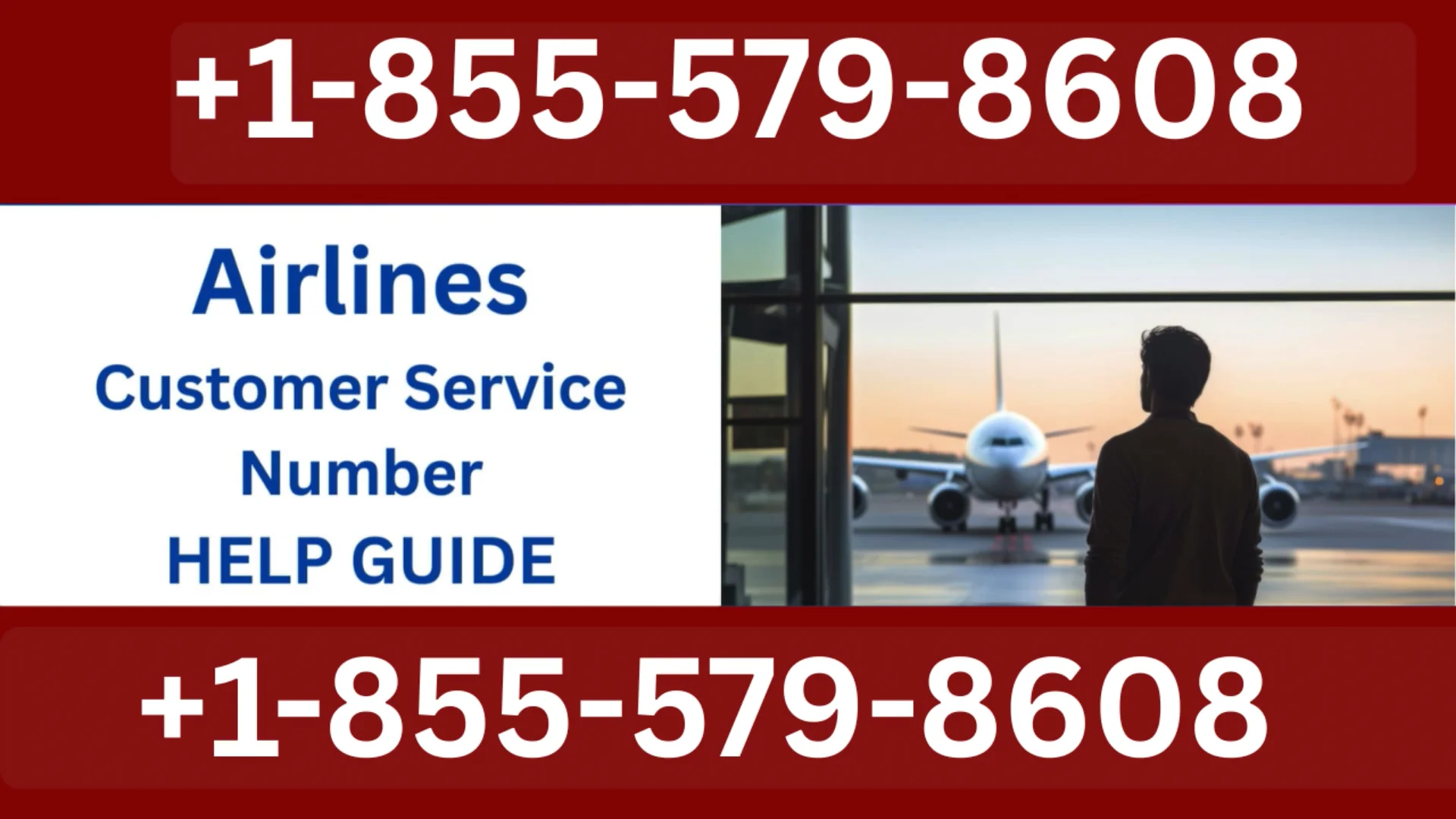 United Airlines Lost and Found : Official 24/7 Support Guide