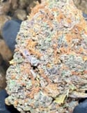 Video: Runtz Muffin