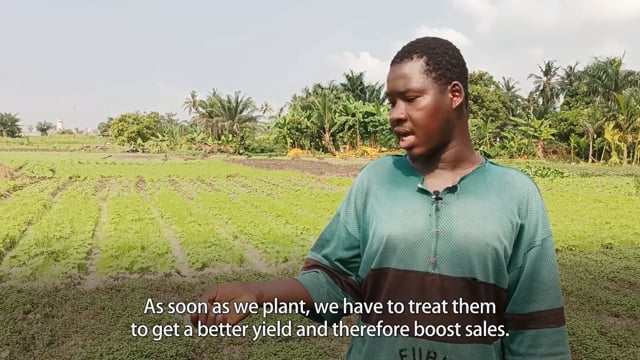 Feeding Abidjan at the Cost of my Health - ePOP Video