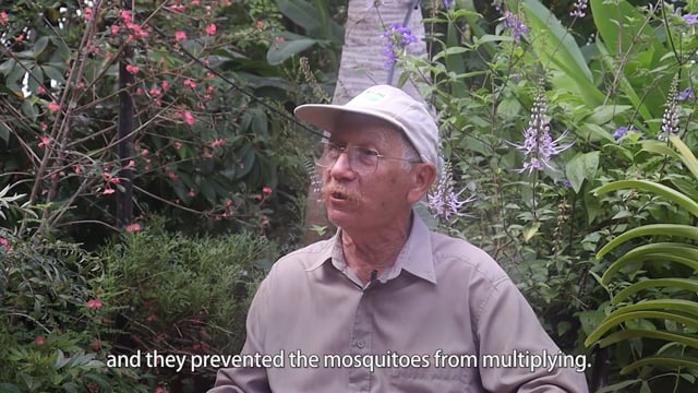 Humanity is capable - ePOP Video