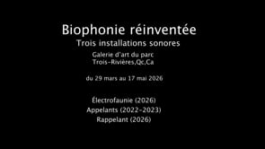 Experimental Video Art