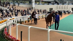 動画サムネイル