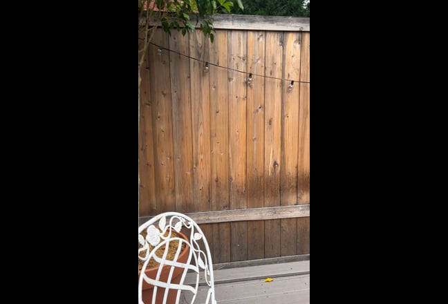 Large bedroom in prime Bushwick location - ST Main Photo