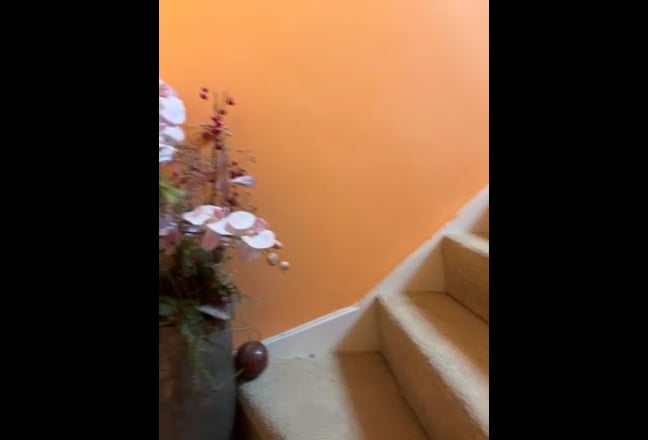 Self contain loft studio flat Main Photo