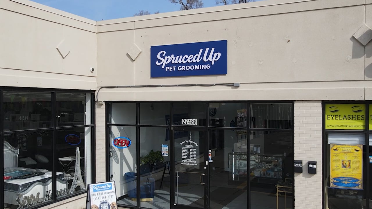 Spruced Up — About Us