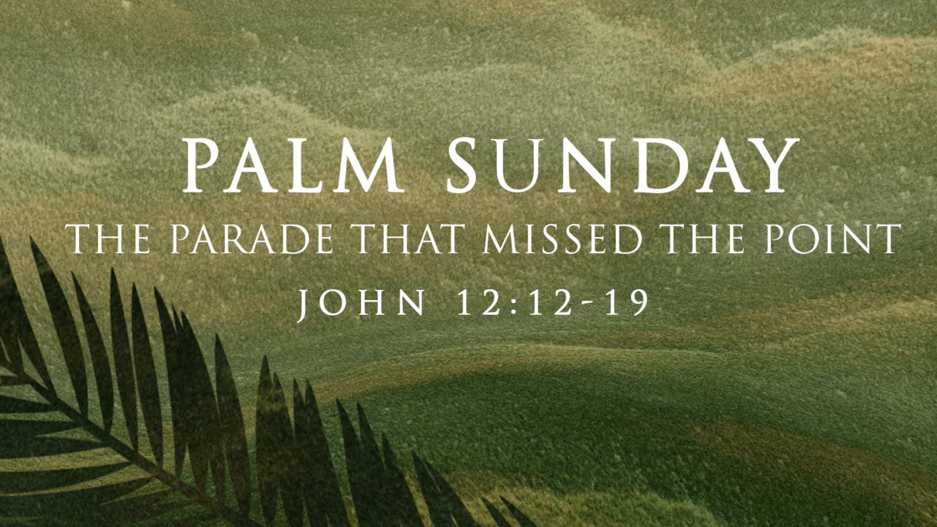 John 12:12-19 - The Parade that Missed the Point.