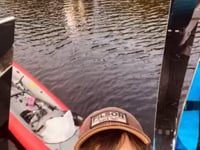 Light Anemones - Bremerhaven