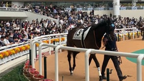 動画サムネイル