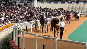 動画サムネイル