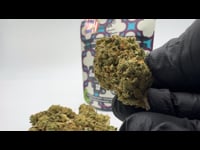 Ice Cream Cake – 32% THCA Blüten (US-IMPORT-A++)